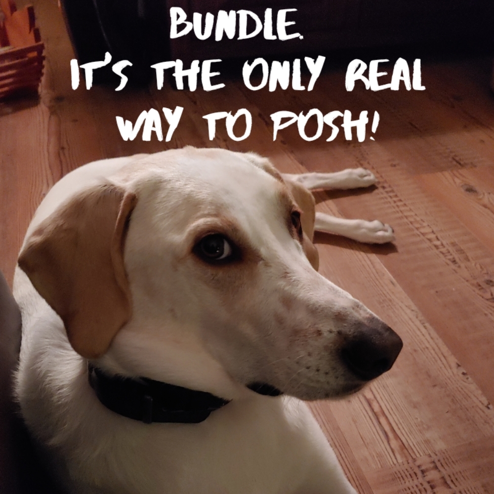 Bundle.